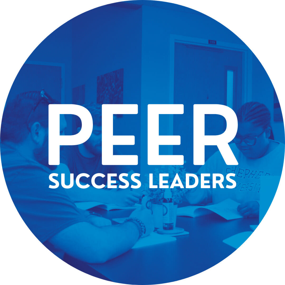 Peer Success Leaders