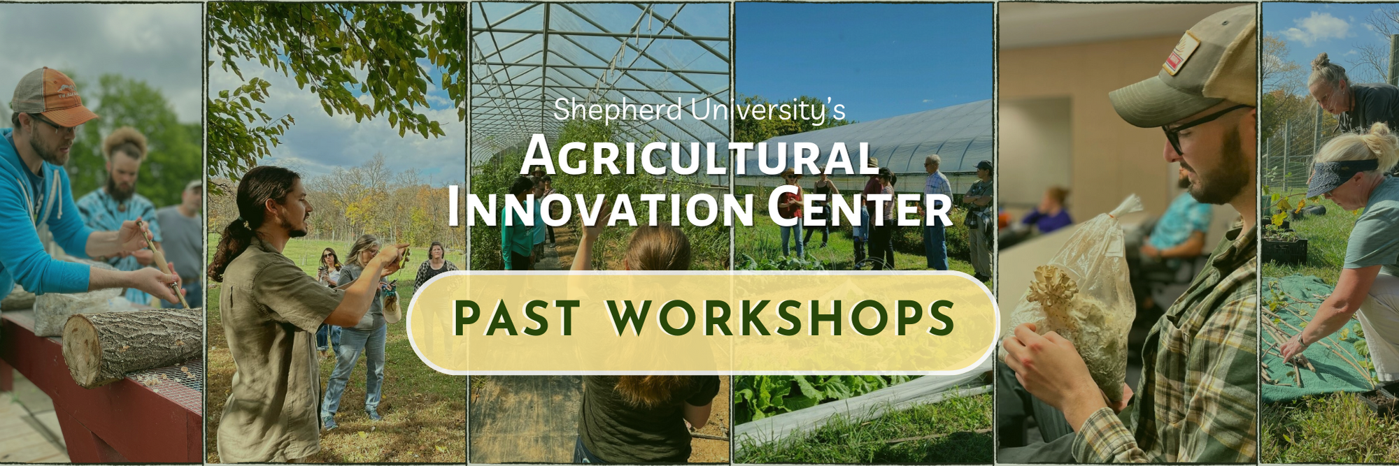 Button with images for SUAIC past workshops page