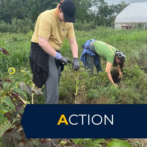 Two LEADS students volunteering at Shepherd University's Tabler Farm.