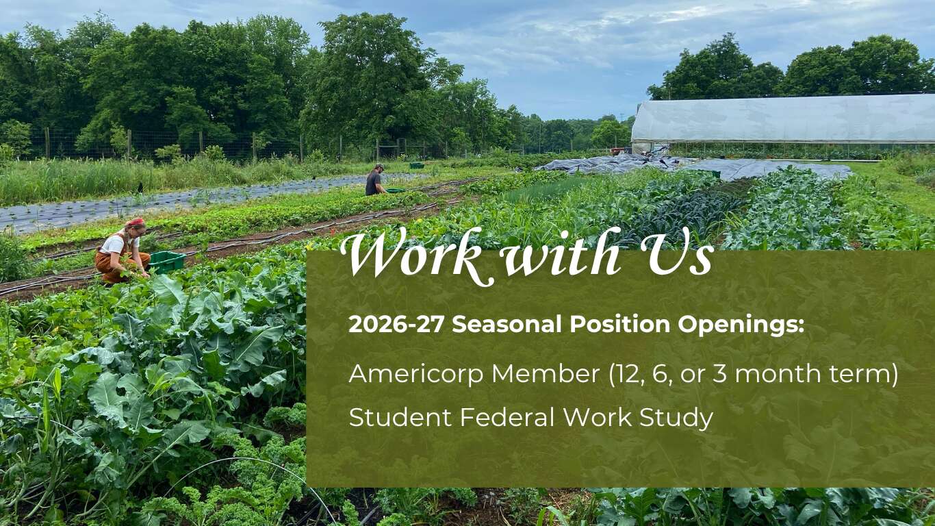 Work with us