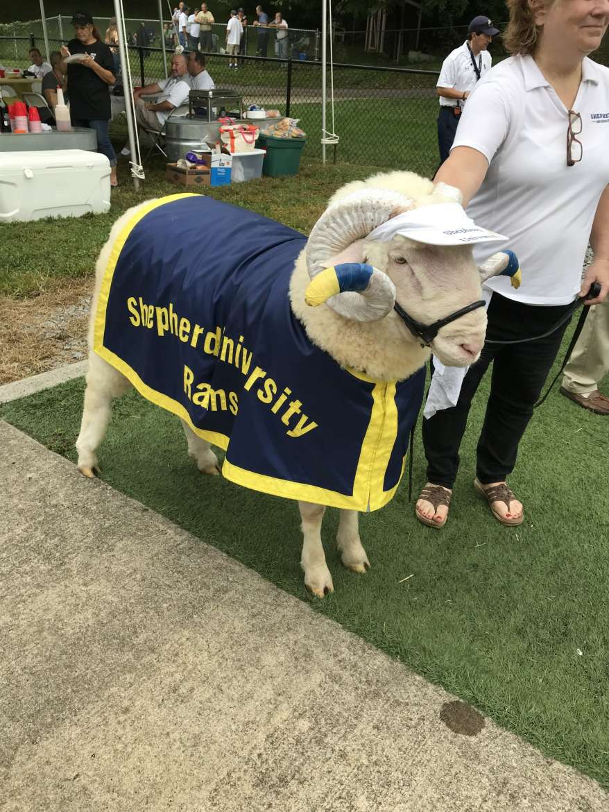 Sheperd Rams Shepherd University | Ram Mascot | Staff