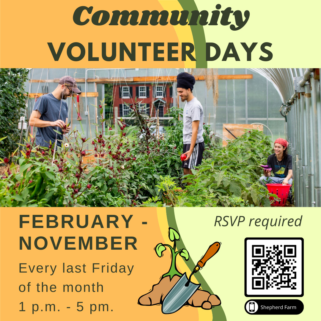2022 community volunteer days