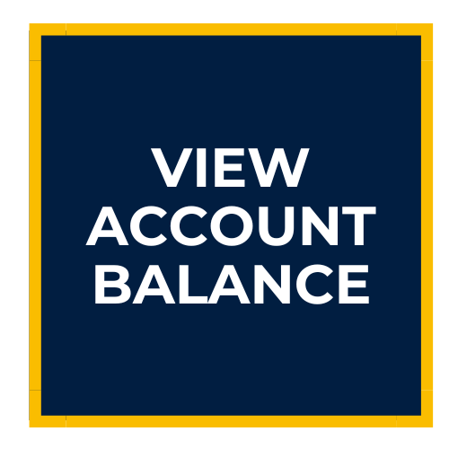 box for viewing account balance