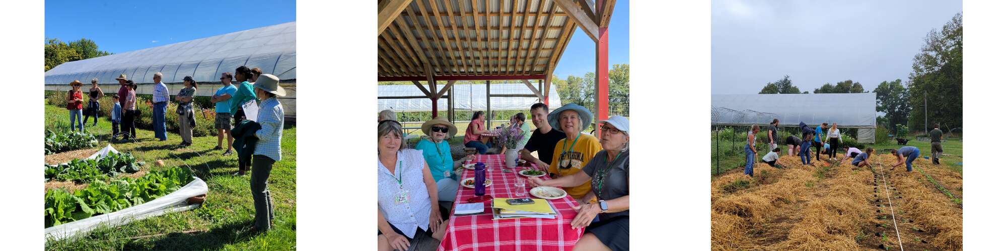 Tabler Farm promotional