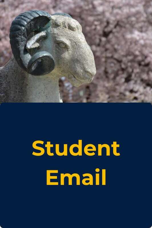 EDPD Student Email Button